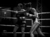 Ilenia Perugini punches Laura Messerli 9th April 2016