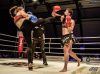 Michaela Michl knocks out Joanna Swiatkiewicz at MFC by Dariusz Bicyznski